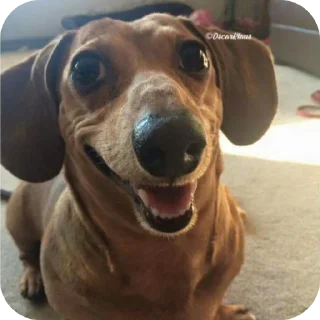 👍 emoji А ты че Telegram sticker 23 of 99