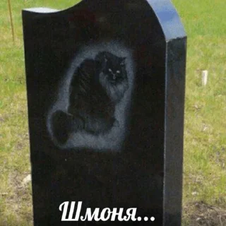 🪤 emoji а что говорить Telegram sticker 6 of 58