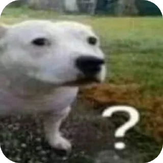 🐶 emoji А ты че Telegram sticker 12 of 99