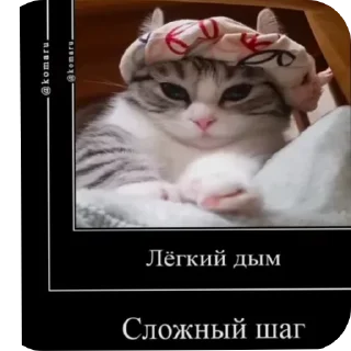 🐱 emoji Создатель я профи :: Telegram sticker 18 of 78