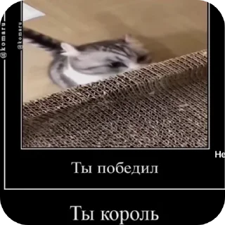 👍 emoji Создатель я профи :: Telegram sticker 22 of 78