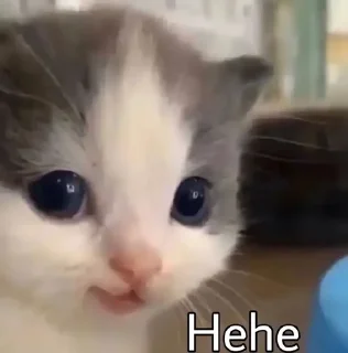 🌟 emoji Личный пак А давай2 Telegram sticker 8 of 56
