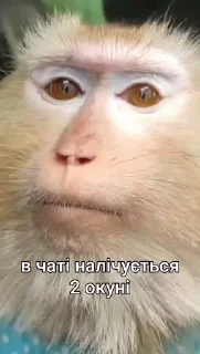👨‍✈️ emoji Стикеры 👉 @animokubot Telegram sticker 8 of 50