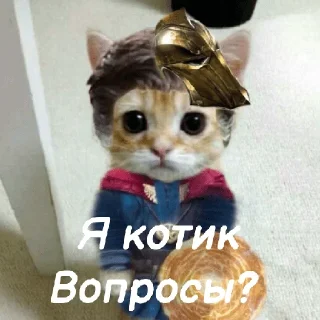 😐 emoji Легенды котов Telegram sticker 5 of 24