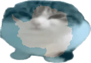 🇦🇶 emoji странокоты Telegram sticker 17 of 66