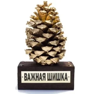 Sticker from На колени перед шишкой