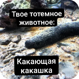 💩 emoji Музеи москвы ВСЕ ФОТКИ СДЕЛАНЫ АВТОРОМ Telegram sticker 9 of 72