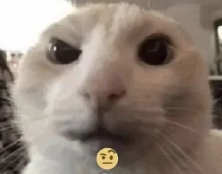 🤨 emoji БОЛЬШЕ ⇨ @CLOOBHUB МЕМНЫЕ СТИКЕРЫ МИНЬОНЫ ПАТРИОТ Telegram sticker 21 of 30