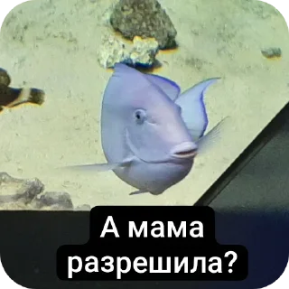 🧐 emoji Музеи москвы ВСЕ ФОТКИ СДЕЛАНЫ АВТОРОМ Telegram sticker 17 of 72