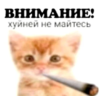 🚬 emoji @FULLSITION <- БОЛЬШЕ Telegram sticker 12 of 120