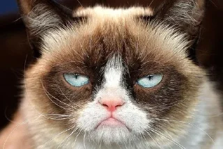 😑 emoji cute cat<3 Telegram sticker 5 of 14