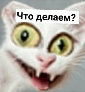 😸 emoji Favorite stickers Telegram sticker 13 of 15