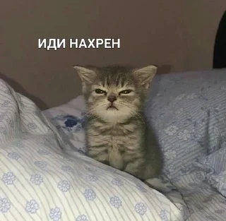 Sticker from Лизкины стикеры для 7Б