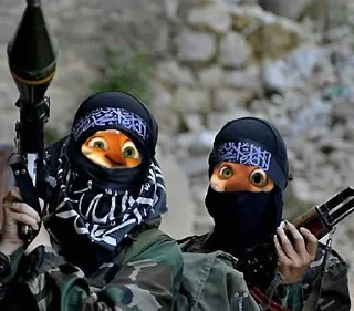 ☮️ emoji Принцип Же Лови Telegram sticker 9 of 12