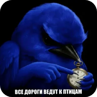 🐦 emoji Синие птички Telegram sticker 24 of 120