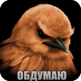 🐦 emoji Птички Telegram sticker 10 of 58