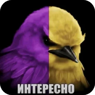 🐦 emoji Птички Telegram sticker 11 of 58