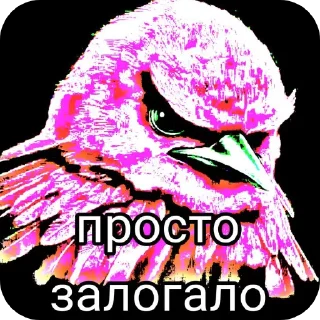 🖼 emoji Разноцветные птички Telegram sticker 7 of 120