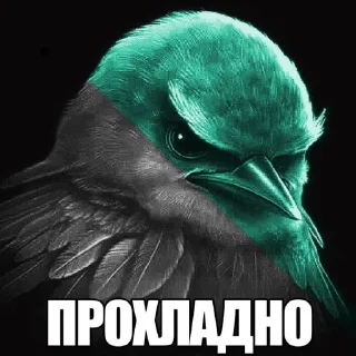 🌟 emoji Разноцветные птички Telegram sticker 14 of 120