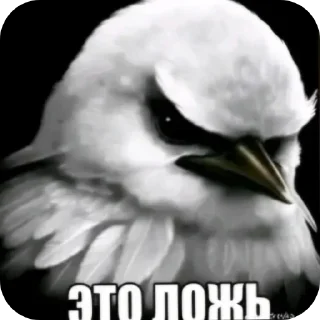 🔥 emoji Белые птички Telegram sticker 17 of 116
