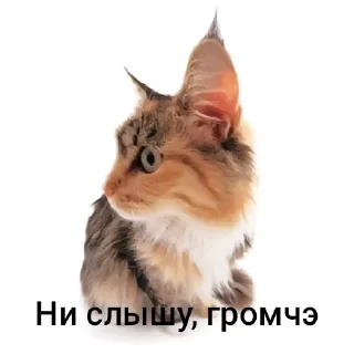 🤔 emoji Котики Telegram sticker 7 of 12