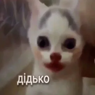🤡 emoji katyakozel Telegram sticker 23 of 112