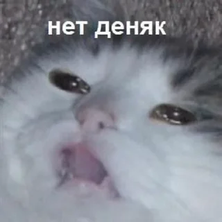 💵 emoji для ахуенных🤍 Telegram sticker 5 of 82