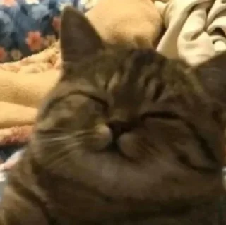 😌 emoji рандом Telegram sticker 5 of 18