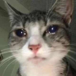 😭 emoji для ахуенных🤍 Telegram sticker 23 of 82