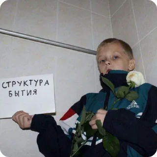 🌟 emoji гетеросексуалы @lipalozms Telegram sticker 19 of 27