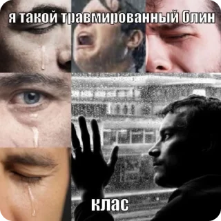 😭 emoji гетеросексуалы @lipalozms Telegram sticker 11 of 27