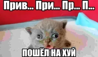 Sticker from Супер котики