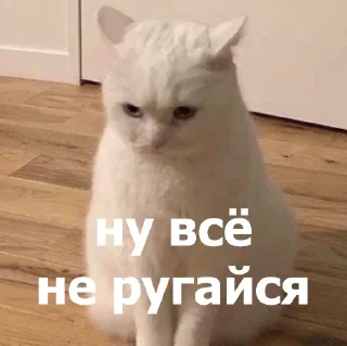 🥺 emoji Маруська что-то мутит Telegram sticker 13 of 120