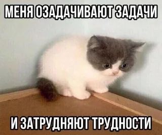 😨 emoji Супер котики Telegram sticker 8 of 37