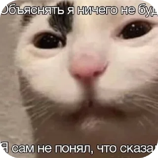 🤲 emoji Мемасики Telegram sticker 10 of 108