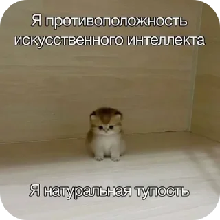 🐱 emoji Мемасики Telegram sticker 11 of 108