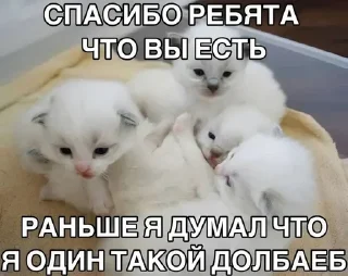 ❤️ emoji щит пост, тт mkillst Telegram sticker 23 of 106