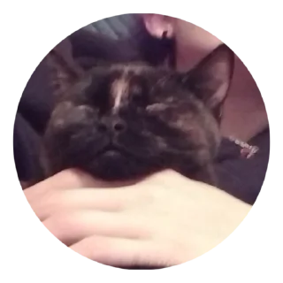 😻 emoji Рыжий чёрт | @SunriseVlog Telegram sticker 15 of 17