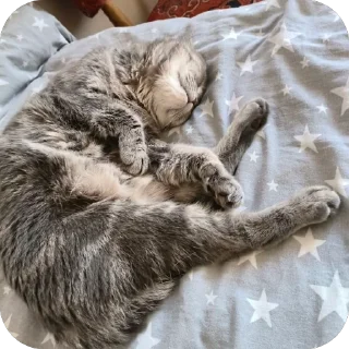 🫥 emoji сосиски Telegram sticker 12 of 31