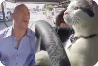 🛻 emoji 🤪MemojiPack🎊 Telegram sticker 23 of 44