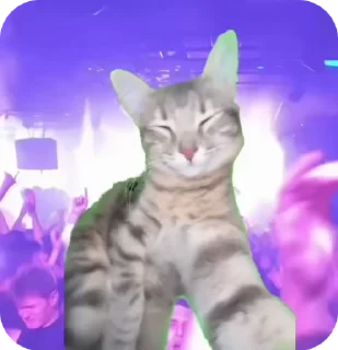😎 emoji 🤪MemojiPack🎊 Telegram sticker 9 of 44