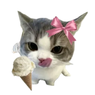 🐱 emoji meowwemii Telegram sticker 8 of 30