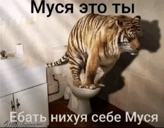 🌟 emoji Яипалтваюмаць Telegram sticker 6 of 107