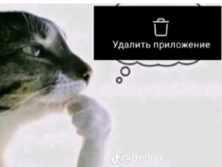 🌟 emoji хуета фалди Telegram sticker 19 of 120