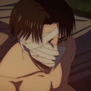 📸 emoji Levi Ackerman Telegram sticker 23 of 24