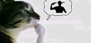 🌟 emoji хуета фалди Telegram sticker 21 of 120