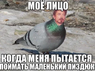 Sticker from Risovach и не толька