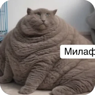 🫥 emoji дишкинв стики Telegram sticker 20 of 71
