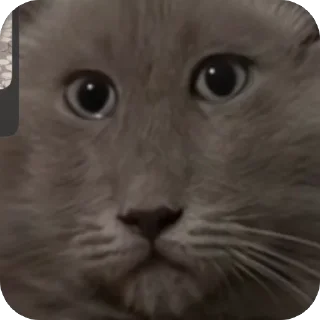 🫥 emoji дишкинв стики Telegram sticker 17 of 71