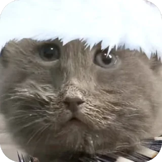 🫥 emoji дишкинв стики Telegram sticker 10 of 71